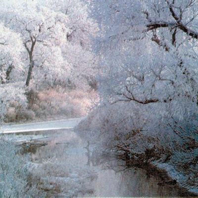 Lock types, Dead bolts, Mortis locks, Rim cylinders, Cylinder locks Knobs and levers, Panic hardware, Exit alarms, Card access