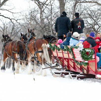 Lock work, Re-keying, Master keying, Lock repair, Lock replacement, Keys by code, File cabinets, Door closers, Latch guards