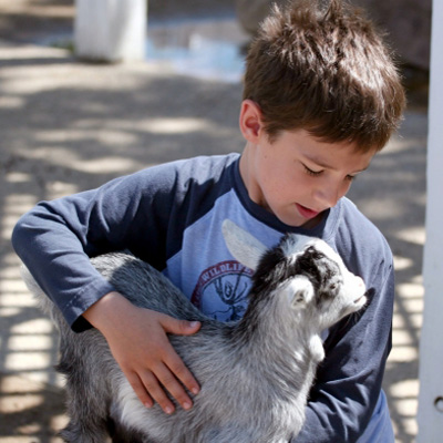 Safes, Sales, Installation, Repairs