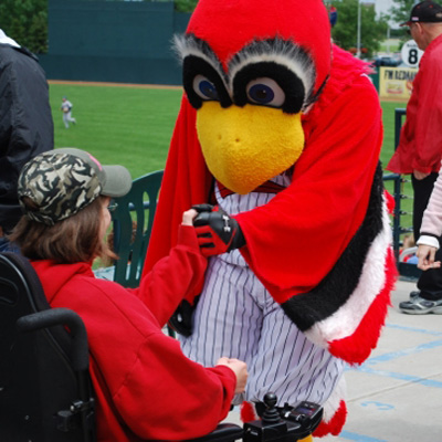 Lock types, Dead bolts, Mortis locks, Rim cylinders, Cylinder locks Knobs and levers, Panic hardware, Exit alarms, Card access